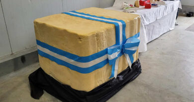 Queso, Córdoba, 1000 kilos, lácteos