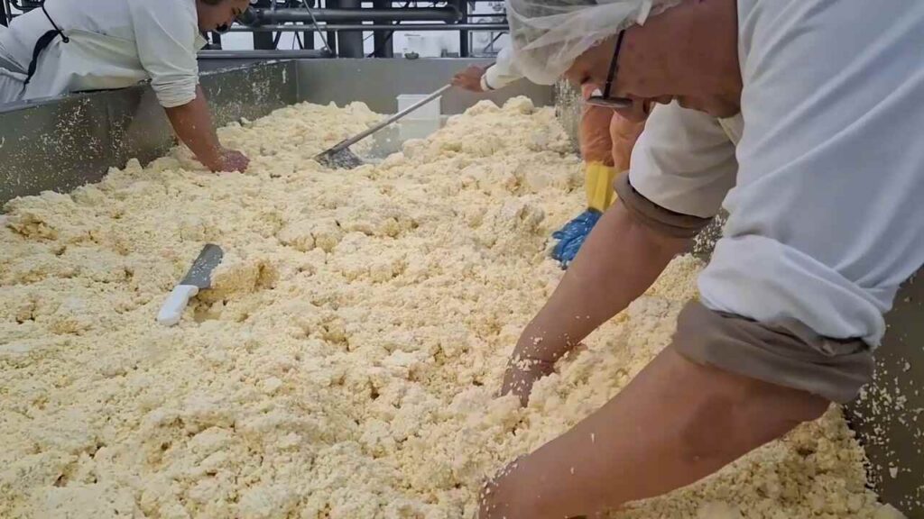 Queso, Córdoba, 1000 kilos, lácteos