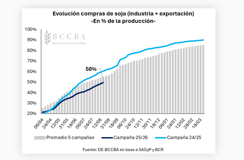 Soja, Compras, Mercado