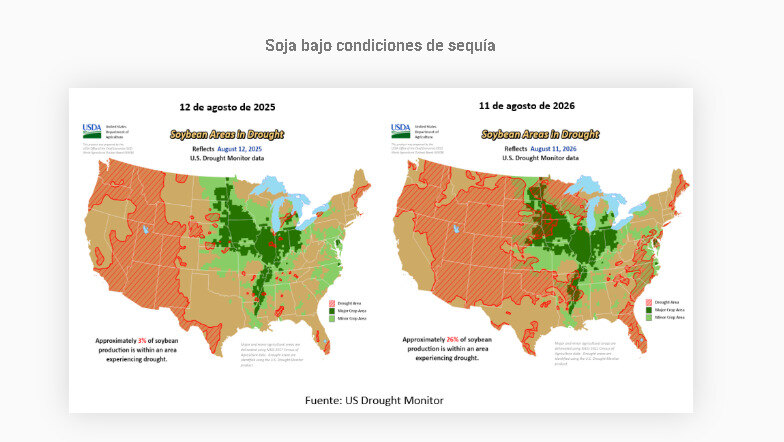 Soja, sequía