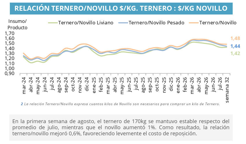 Novillo, Ternero, Invernada