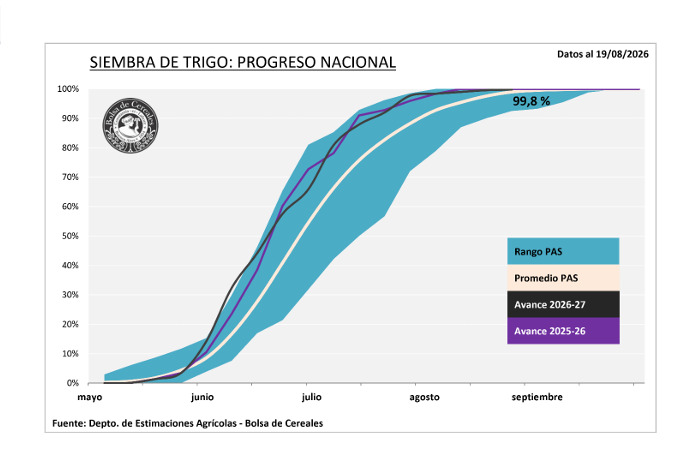 Trigo, Siembra