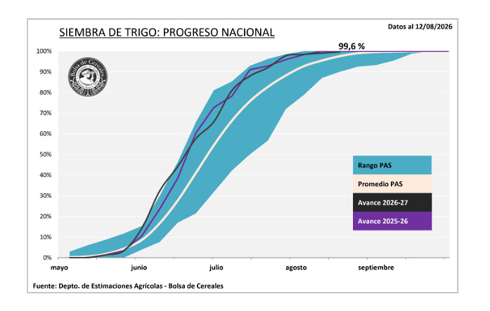 Siembra de Trigo