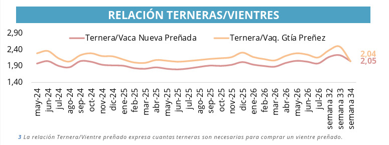 Terneras, Vientres