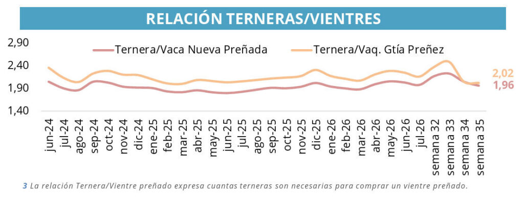 Terneras, Vientres