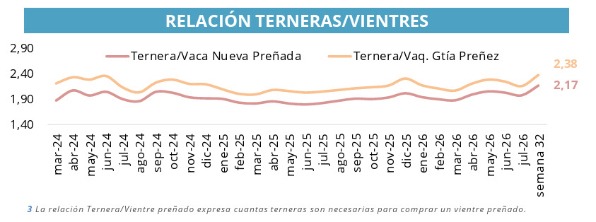 Vientres, Terneras