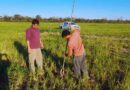 Agua, Napas, Cultivos, Agricultura, Suelos