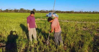 Agua, Napas, Cultivos, Agricultura, Suelos