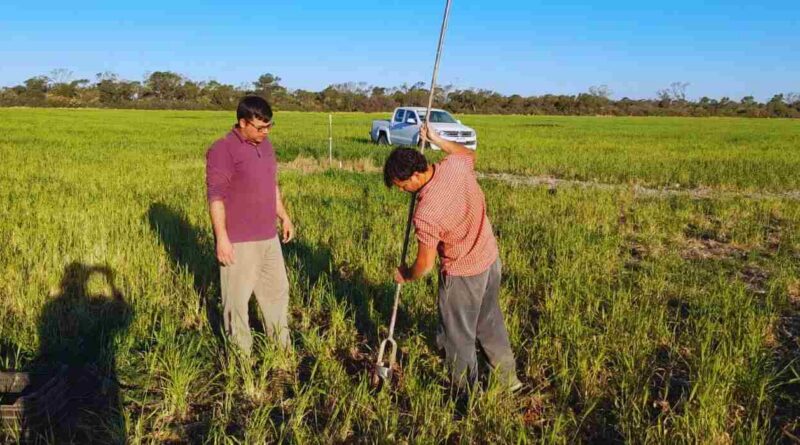 Agua, Napas, Cultivos, Agricultura, Suelos