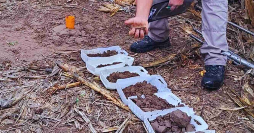 Agua, Napas, Cultivos, Agricultura, Suelos