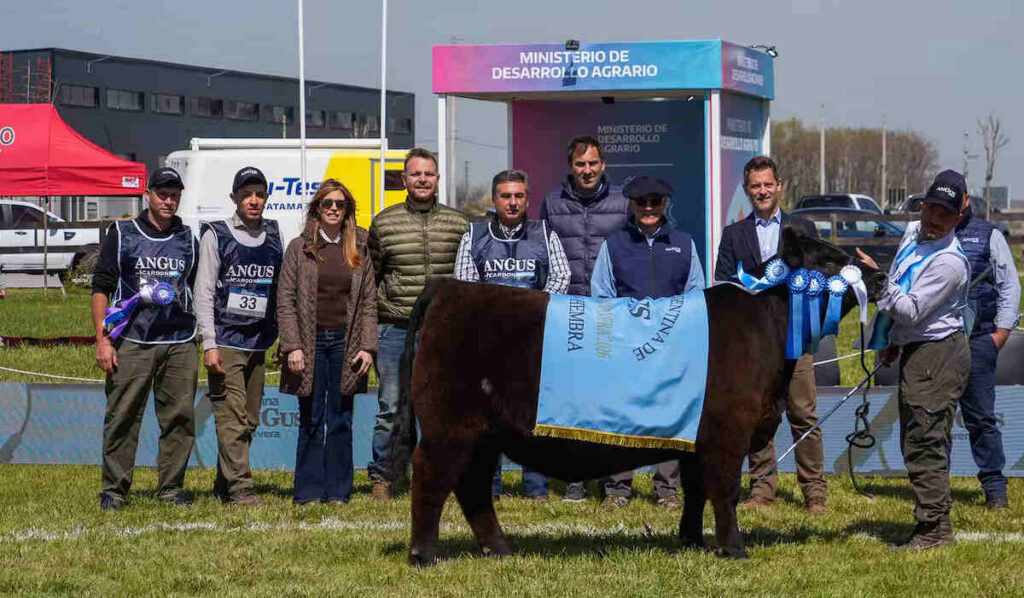 Semana Angus de Primavera, Campeona Hembra