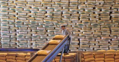 Azúcar, Exportaciones