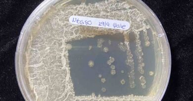 Bacteria, Oxígeno