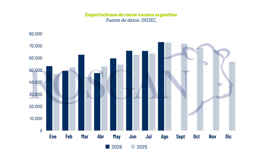 Exportaciones de Carne, Argentina