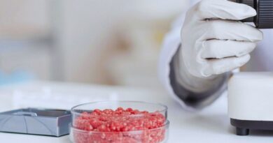 Carne Picada, ciencia, tecnología, INTA
