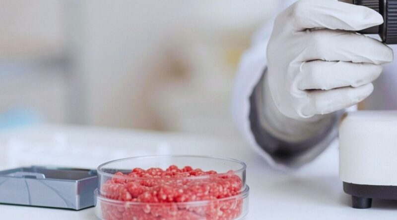 Carne Picada, ciencia, tecnología, INTA