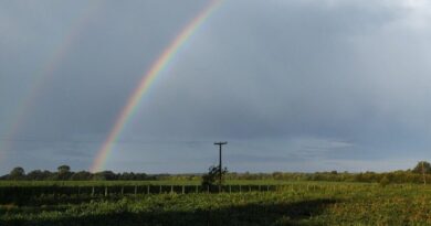 Clima, Primavera, Campo
