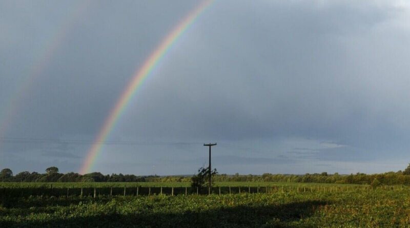 Clima, Primavera, Campo