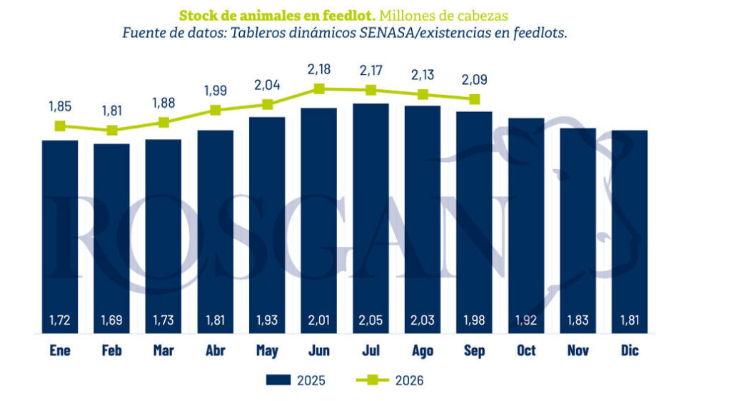 Feedlots, Ganadería