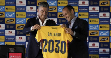 Marcelo Gallardo, Ecuador