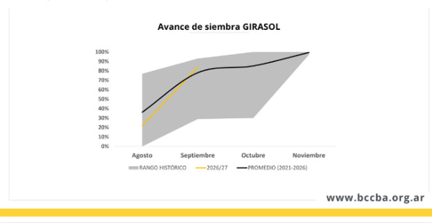 Girasol, Santiago del Estero, Siembra