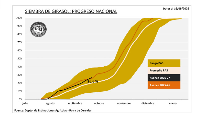 Girasol, Siembra Campaña 2026/27