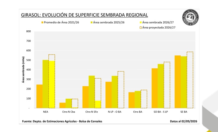 Girasol, Siembra