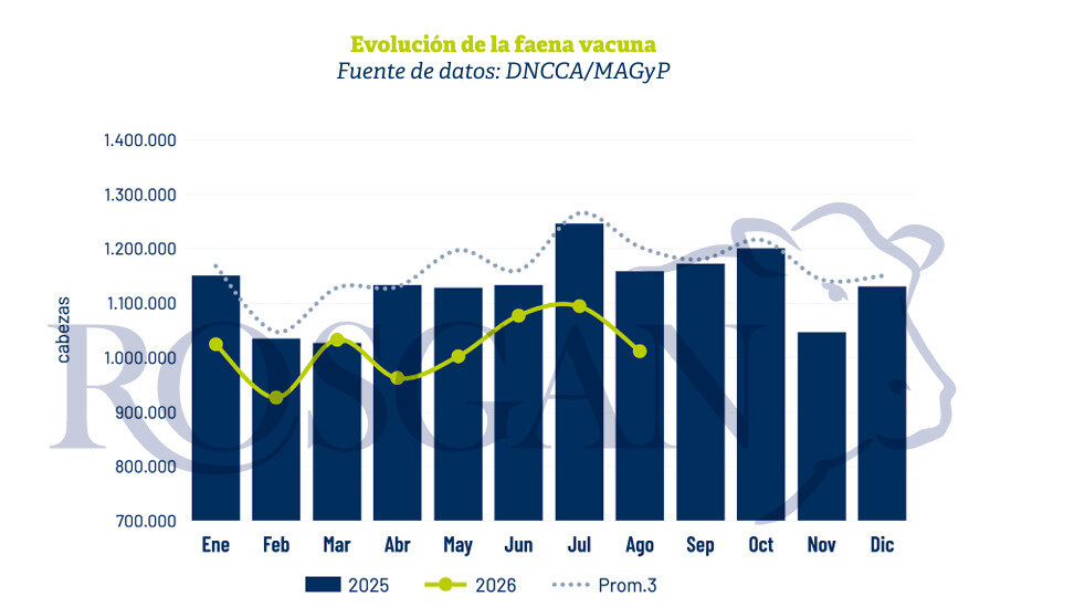 Industria Frigorífica, Faena
