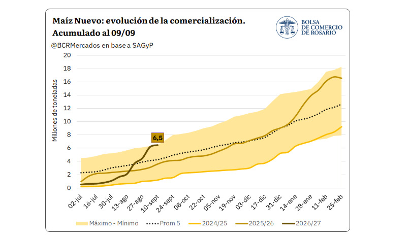 Maíz, Comercialización