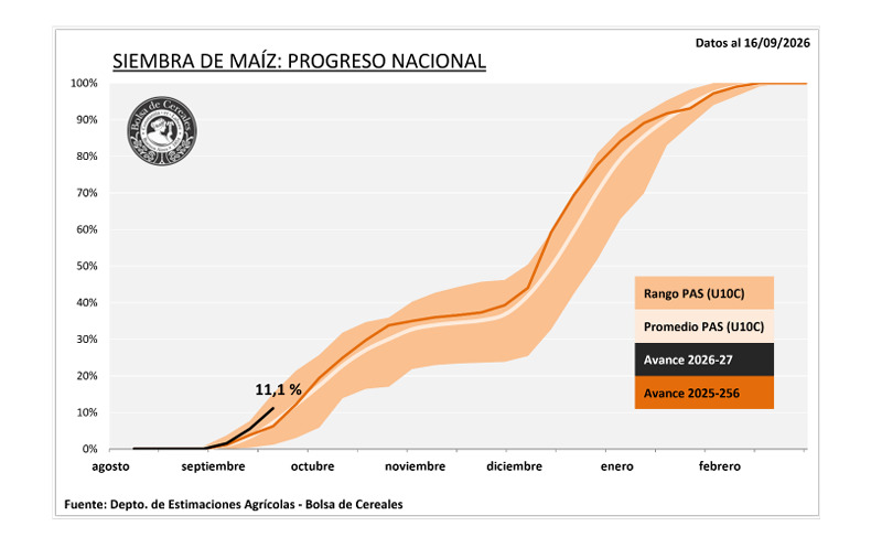 Maíz, Siembra Campaña 2026/27
