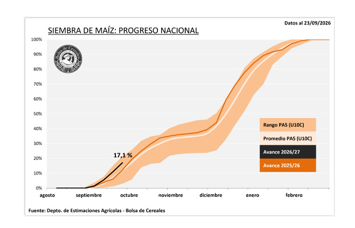 Maíz, Siembra