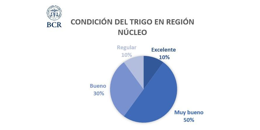 Región Núcleo, Trigo