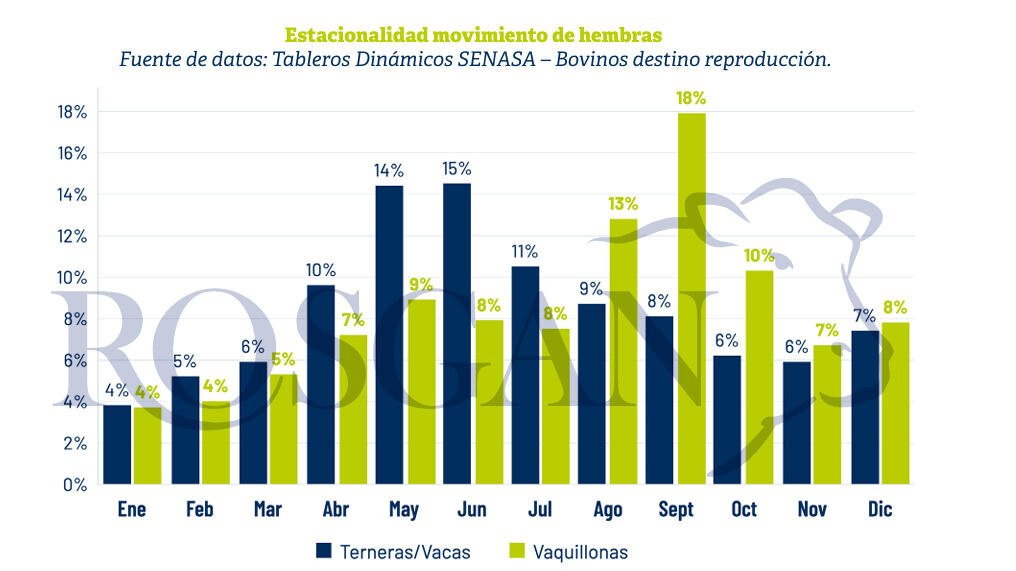 Reproductores, Hembras