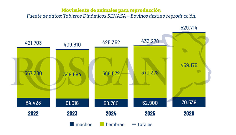 Reproductores