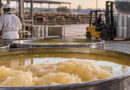 Sebo Bovino, Exportaciones