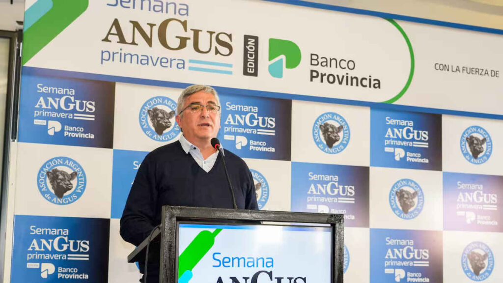 Ganadería, Semana Angus de Primavera 2026, Amadeo Derito