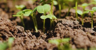 Suelo, Agricultura