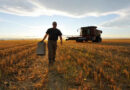 Trabajadores Rurales, Salario, trabajo agrario