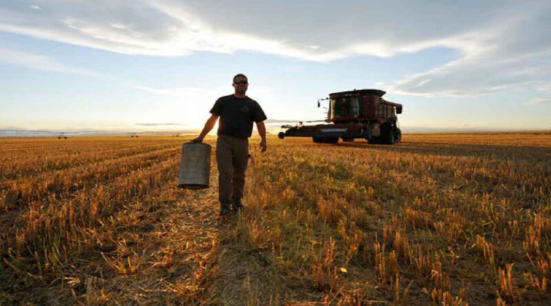 Trabajadores Rurales, Salario, trabajo agrario