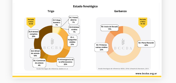 Trigo, Garbanzo, Santiago del Estero