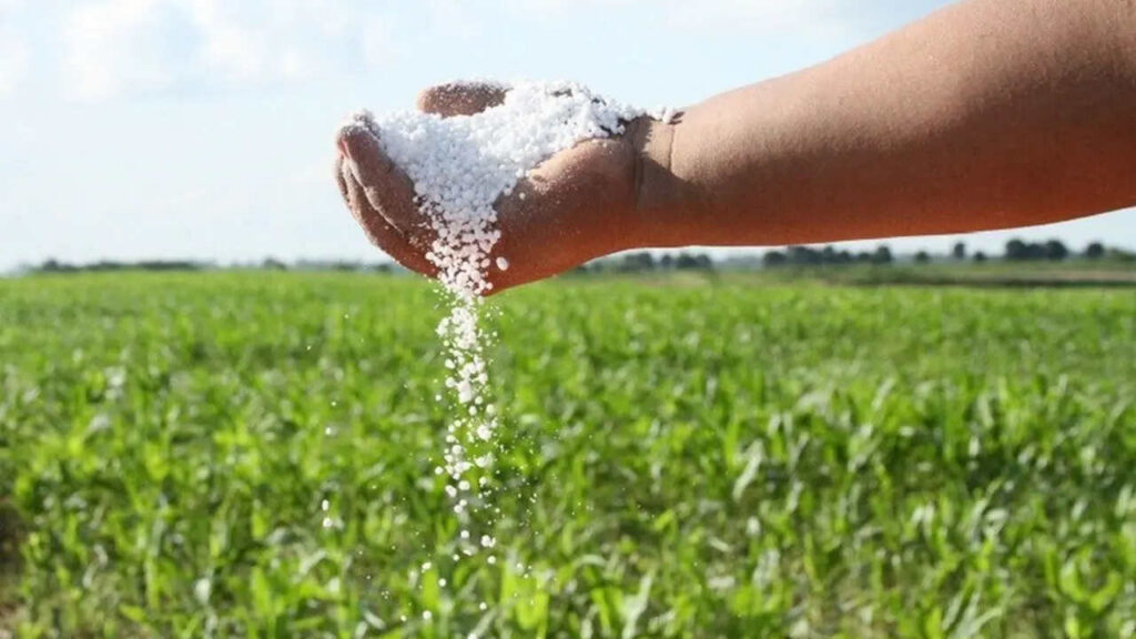 Urea, Fertilizante