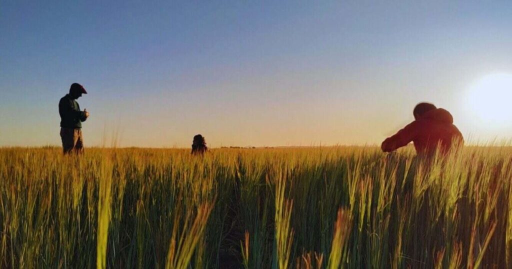 Ambiente, Manejo Agrícola, Agricultura
