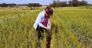Ambiente, Manejo Agrícola, Agricultura