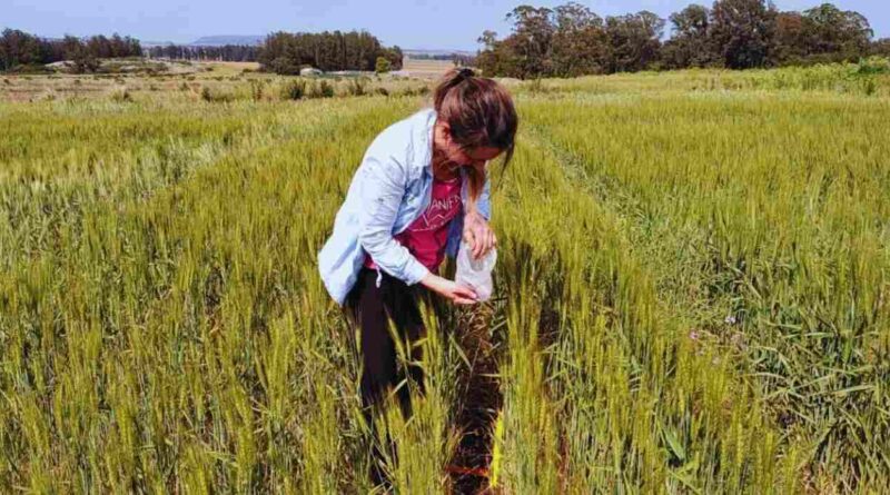 Ambiente, Manejo Agrícola, Agricultura