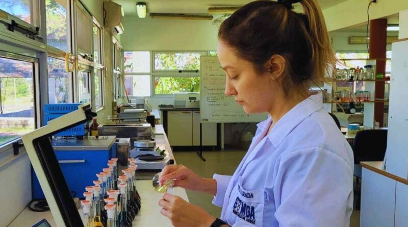 Arroz, INTA, Ciencia, Tecnología