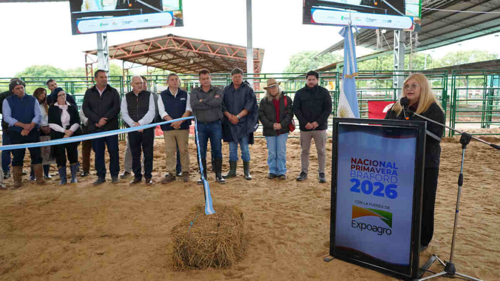 Nacional Primavera Braford, 2026, Ganadería