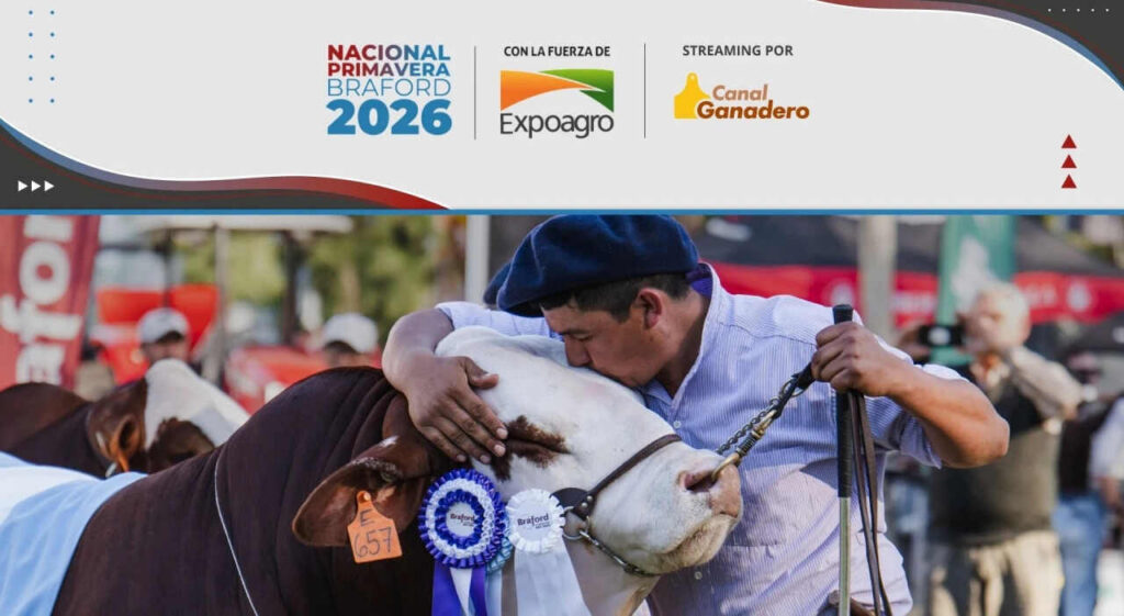 Nacional Primavera Braford, 2026, Ganadería