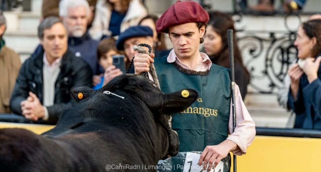 Ganadería