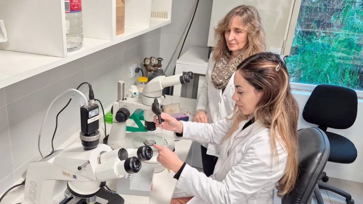 Conicet, Ciencia, Tecnología