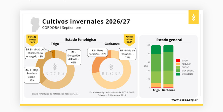 Córdoba, Trigo, Garbanzo, Campaña 2026/27